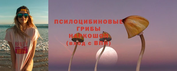 эйфоретик Няндома