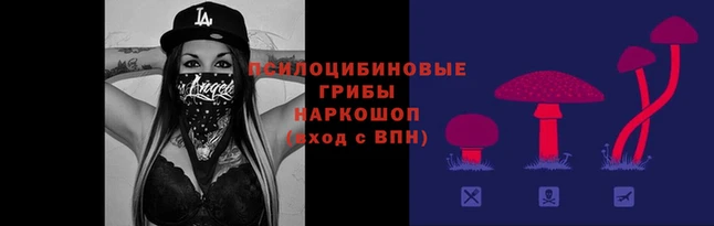 эйфоретик Няндома