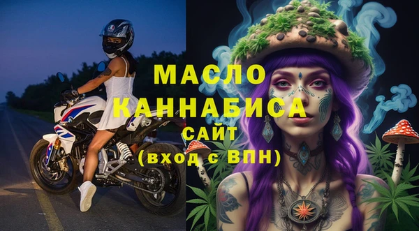 эйфоретик Няндома