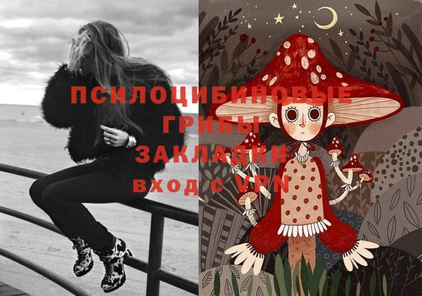 эйфоретик Няндома