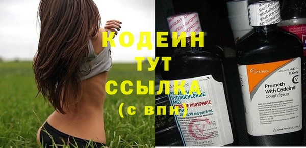 эйфоретик Няндома