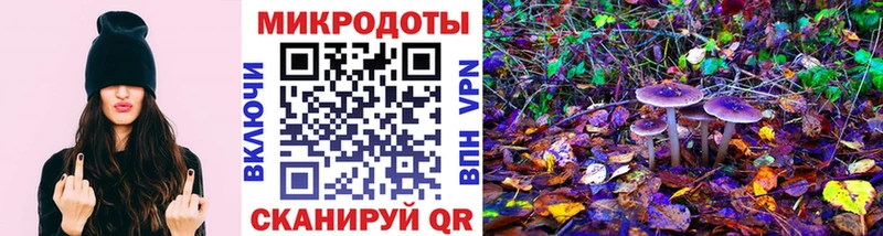 Галлюциногенные грибы Psilocybe  Купить закладки  Кологрив 